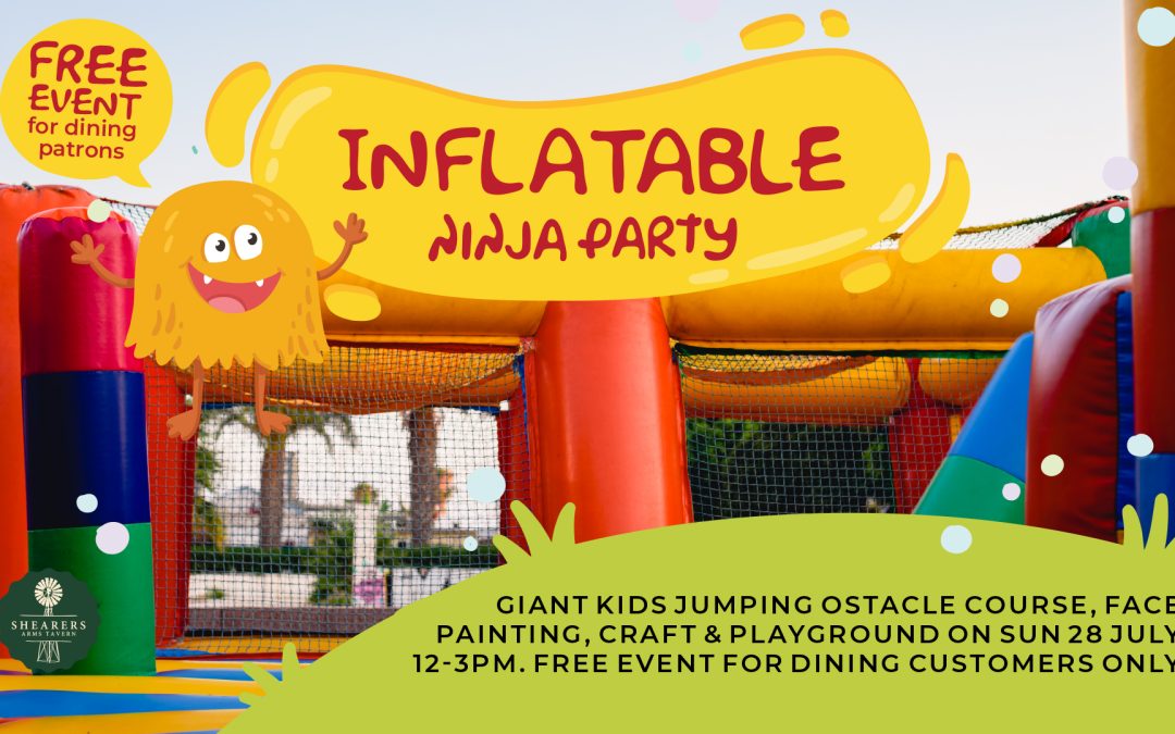 Inflatable Ninja Party